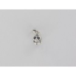 3D skull