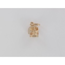 Little Skull
