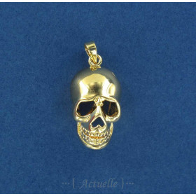 3D skull GP