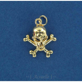 3D skull with bones GP