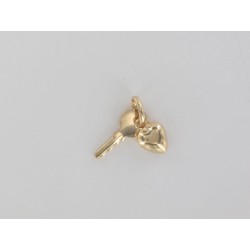Heart key 3D