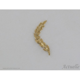 Earring Rinsing branch GP