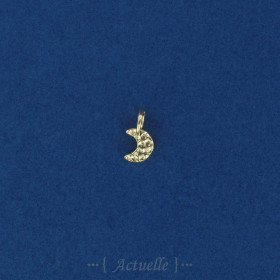 5pcs Mini charm's lune martelée PO