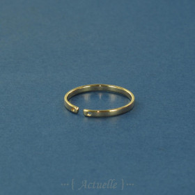 Ring Hole