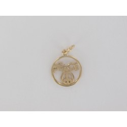 Engraved Peace coin