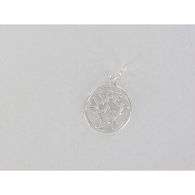 Engraved Super coin GP