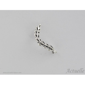 Earring Rinsing branch GP