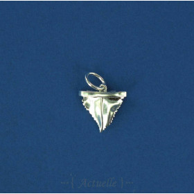 Shark's tooth pendant