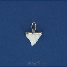 Shark's tooth pendant GP