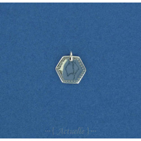Médaille hexagone ints gravés 13mm