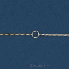 35x42 Chaîne BNL anneau central 5mm + AI2