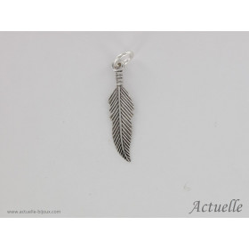 Plume