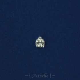 5pcs Coccinelle 7,20mm