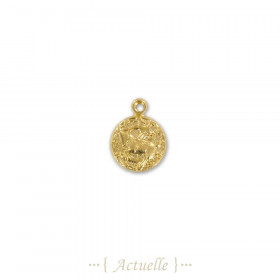 Astro pendant Capricorn 13mm