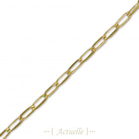 chain SNL 100 per meter