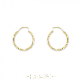 Faceted hoop earrings