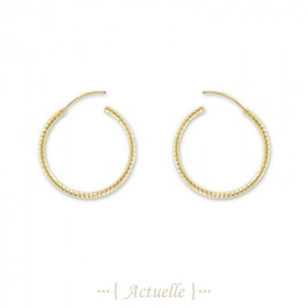 Faceted hoop earrings