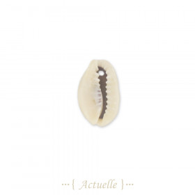 Component cowrie 1 hole 16mm