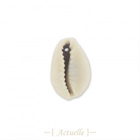 Component cowrie 2 holes 22mm