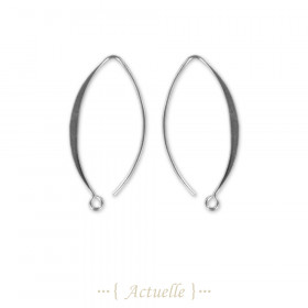 Earrings hook
