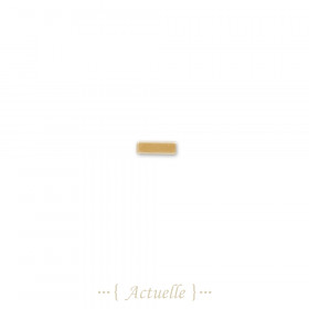 5pcs Perle tube rectangle
