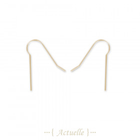 Earring hook
