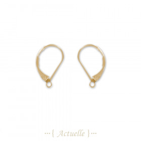 Hook earrings