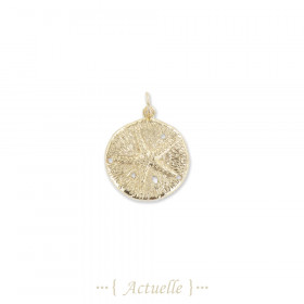 Colgante agujero estrella de mar