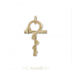 Pendant snake around T