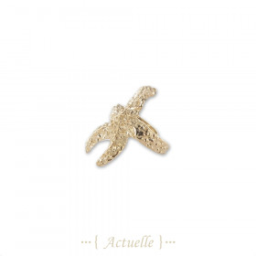 Arete estrella de mar