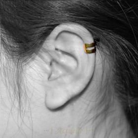 Arete tipo de clip