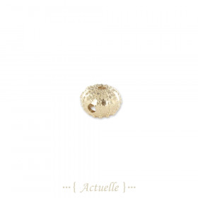 Sea urchin with multiple holes pearl