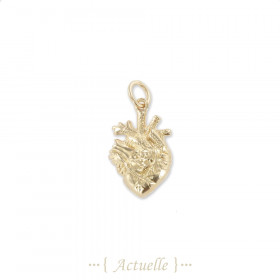 Heart organ pendant