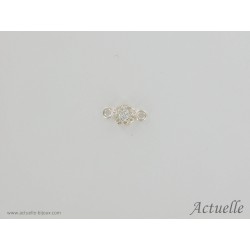 Flower CZ