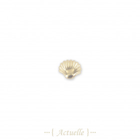Composant coquillage