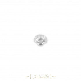 Composant coquillage