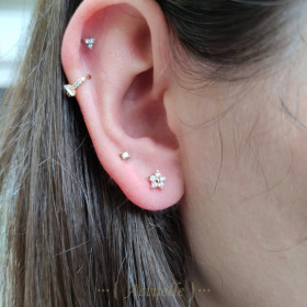 Lucie ear studs