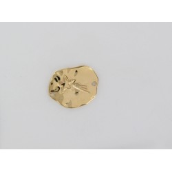 Coin Falling star