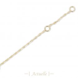 Chain ankle ear 25cm + AI2