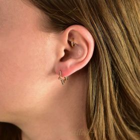 Hoop earrings star