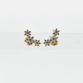 Erena earrings