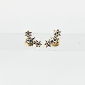 Pendientes Erena