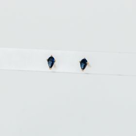 Fleas CZ drops