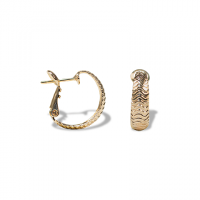 Calenna earrings