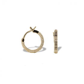 Whitney earrings