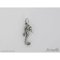 Seahorse