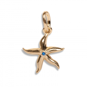 Pendentif Mery - étoile de mer CZ