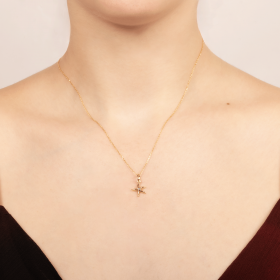 Pendentif Mery - étoile de mer CZ
