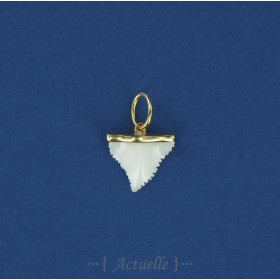Shark's tooth pendant GP