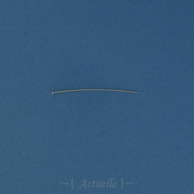 Nail Pin 50mm wire 0.55mm